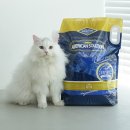 2805 | 🐾 “모래 유목민” 잠깐 멈춤…? 아메리칸솔루션 그랜드마스터 프리미엄 12.6kg 벤토나이트 고양이모래