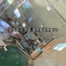 청운카센터 이미지