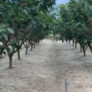 용우외가농장 이미지