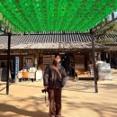 코오롱사 | 내돈내산 남자 패딩 추천 코오롱 247 시리즈 패딩 TORAY DELFY 구스 다운 파카 URBAN VER 상세 후기