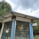 산토끼노래동산 관람시설+동물원 이미지