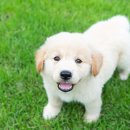 양원주동물병원 이미지