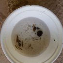 곡정초등학교 이미지