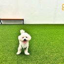 수원-0647 네이버블로그