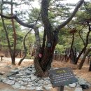 산막이옛길 관광안내소 이미지