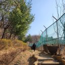 여주대학 용마골프연습장 | 서울 봄 산책 🌸 용마산 스카이워크 + 중랑둘레길 주말 데이트·가족 코스