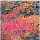 원주민원행정사사무소 이미지