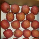 지혜의 사과 이미지