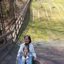 베어팜(주) 이미지