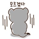 피움헤어 이미지