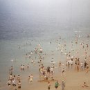 여정 | 요시고2 끝나지 않은 여정 후기 / 서울 사진전 추천