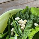 소호 푸른정원 이미지