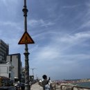 팬더 민박 이미지