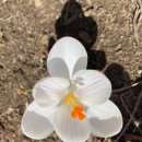 12연기법과 인연법 이미지