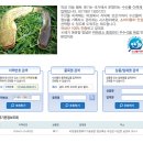 의성마늘황토메기영어조합