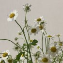 종로광장정형외과의원 이미지