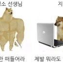 중고등교사에 대한 오해와 진실 이미지