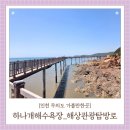 인천오류지붕태양광 | 인천 무의도 가볼만한곳 하나개해수욕장 해상관광탐방로 공영주차장 정보