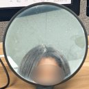 일일삼 | 나 지금 이 현실 믿기지 않아요