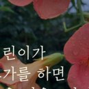 부산본요가