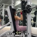 피티스미스 네이버블로그
