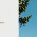 리안커뮤니티