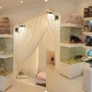 퍼피루스 이미지