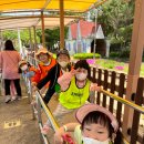 최강두리 태권도장 이미지