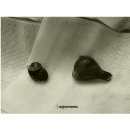 진흥동물병원 이미지