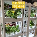 부산장림동우체국 화장실 | 부산 사하구 장림 샤브유, 내돈내산 그릴 코너와 스시도 있는 샤브샤브 맛집 화장실 주차 정보