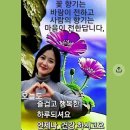 삶의 여유!♥♥ 이미지