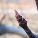 새순농장 이미지