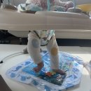 상현도서관 | [D] +191 용인장난감도서관(상현점) 이용 및 후기 (ft.엔픽스360점퍼루)