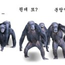 하이퍼캐리