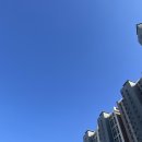 발걸음운동화빨래방 | 소소한 도비 라이프