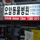 오암동물병원 이미지