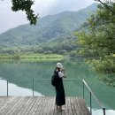 사부작채집가 이미지