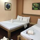 에덴여인숙 이미지