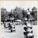 기지초교 이미지