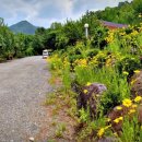 가곡동굴팬션 이미지