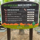 철로변녹지대 네이버블로그