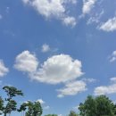 티업파크 | [라운딩] ‘드림파크CC’ 파크코스 IN 8월 낮 12시 날씨 티업 후기/그린피 가격/주변 맛집