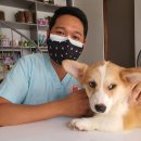 윤동물병원;약품출장진료전문 | 동물병원 진료비 게시 의무 20종, 우리 동네 병원비 비교하는 법