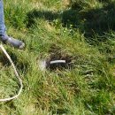 대산2농장 이미지