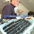 통영집충무김밥