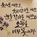 내가꽃이다 이미지