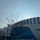 광주시민체육관 | [테니슈 후기] 경기광주역 인근 광주시민체육관 테니스장