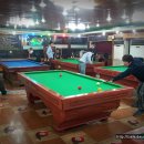 쫑생쫑사 이미지