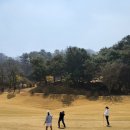여주-0406 네이버블로그