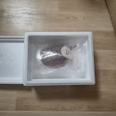 협동조합 참좋은수다 | 양산남부시장 협동조합 맥반석 오징어 구이채: 15개월 아기 엄마 베니맘의 야식 &amp; 간식 고민 해결템!